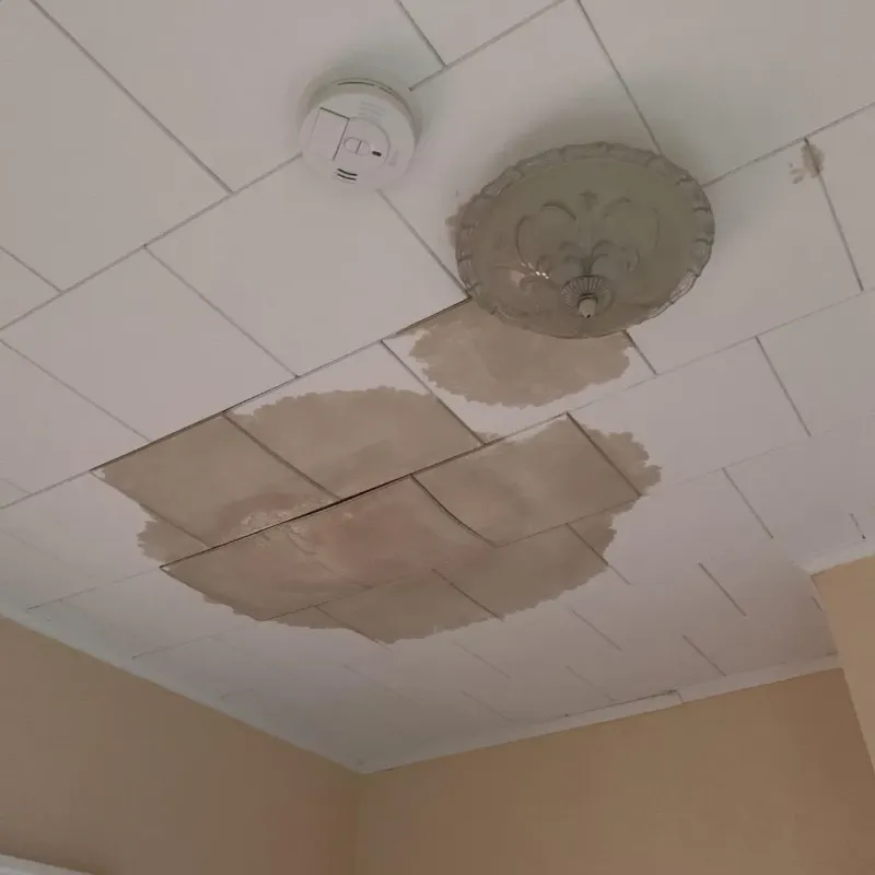 Ceiling Water Damage Repair in Carlsbad, CA
